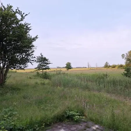 In Texel By The Dunes & Water * De Cocksdorp (Texel)
