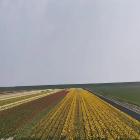 In Texel By The Dunes & Water De Cocksdorp (Texel)