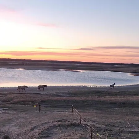 In Texel By The Dunes & Water Prázdninový dům *