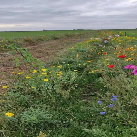 In Texel By The Dunes & Water * De Cocksdorp (Texel)