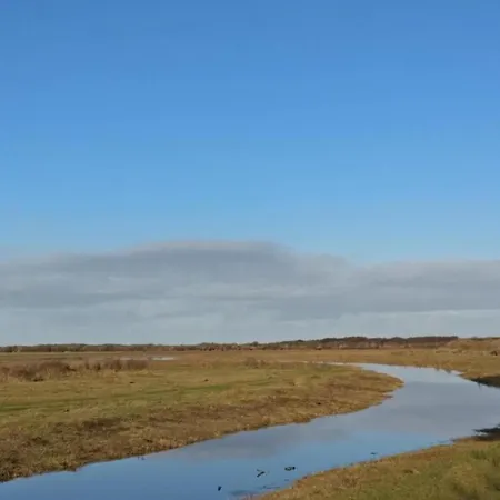 In Texel By The Dunes & Water * De Cocksdorp (Texel)