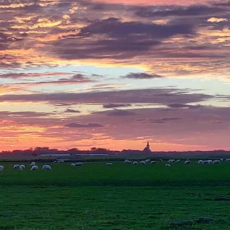In Texel By The Dunes & Water Prázdninový dům