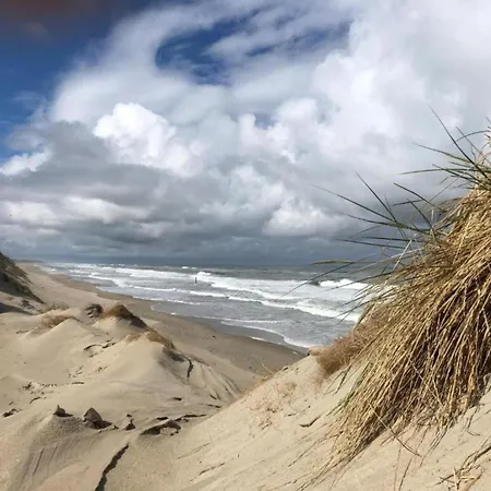 In Texel By The Dunes & Water * De Cocksdorp (Texel)