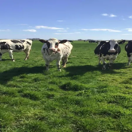 Prázdninový dům In Texel By The Dunes & Water