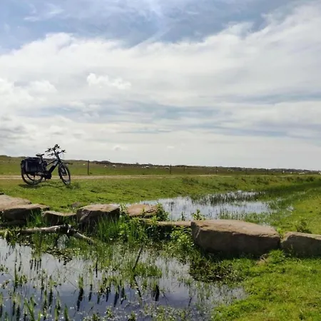 Hébergement de vacances In Texel By The Dunes & Water *